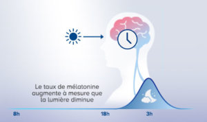 Courbe taux de mélatonine.